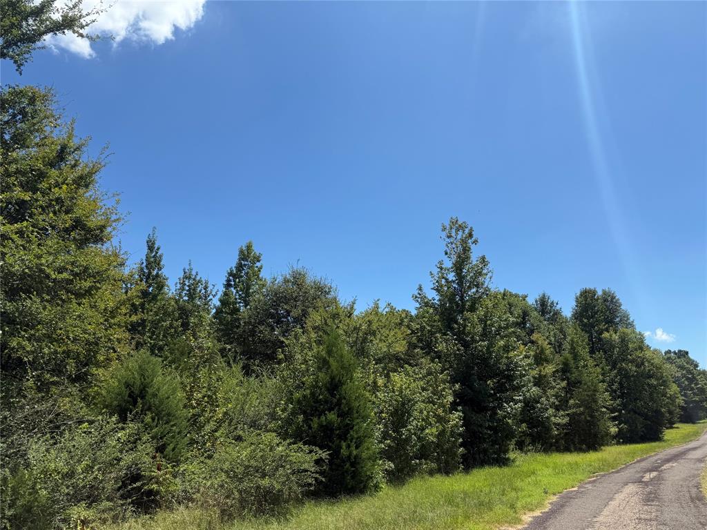 Tbd Cr 1662 Property Photo 1