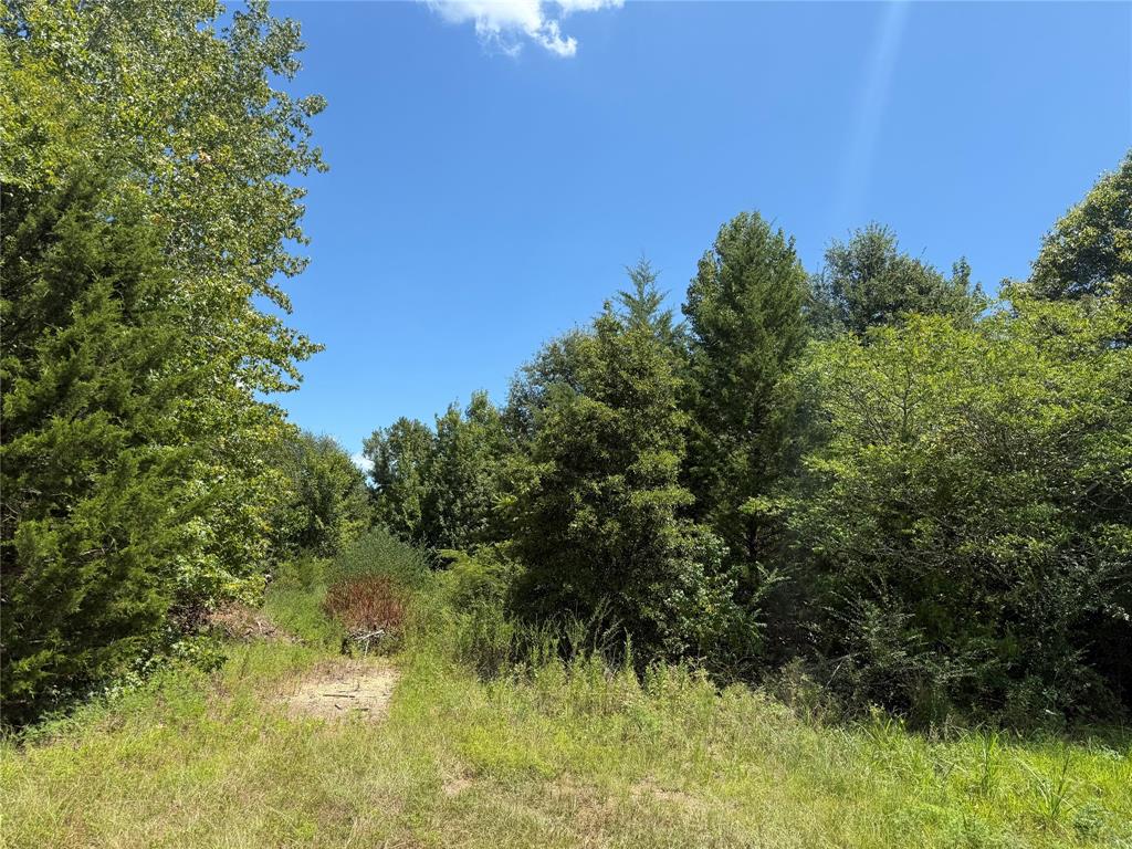 Tbd Cr 1662 Property Photo 3