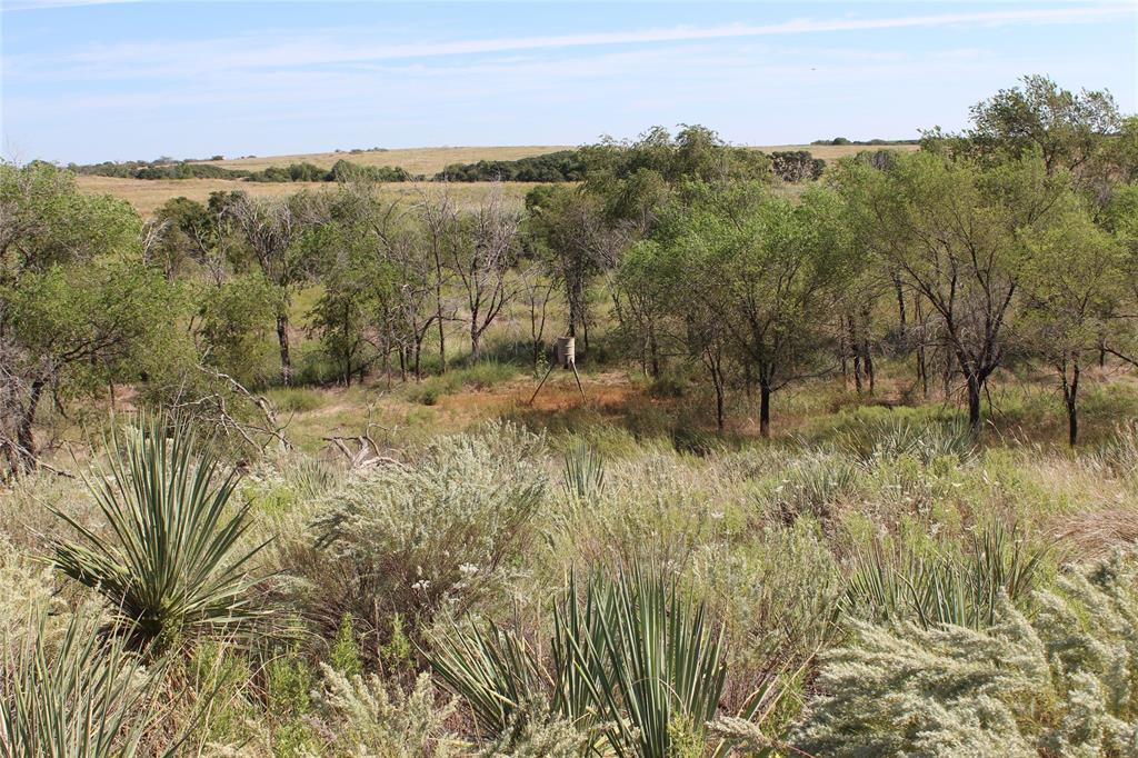Tbd 180 Property Photo 5