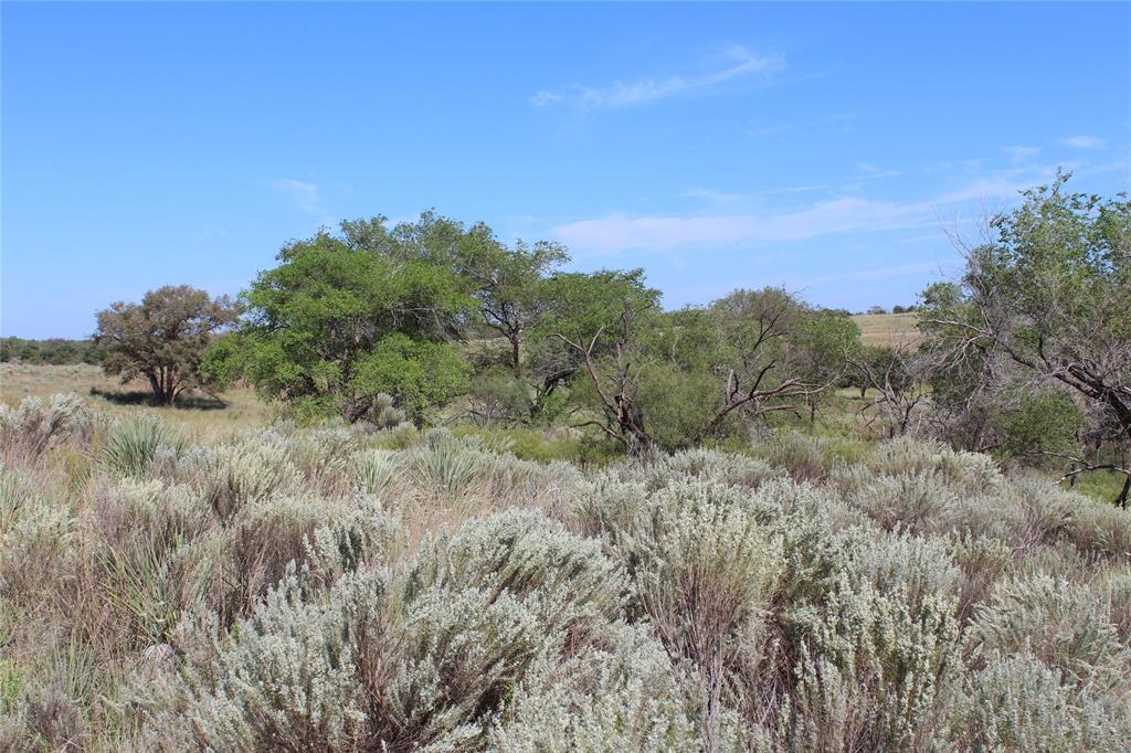 Tbd 180 Property Photo 6