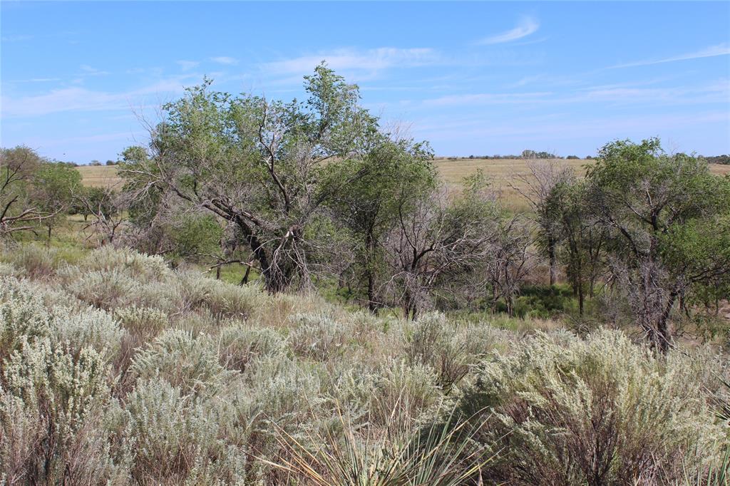 Tbd 180 Property Photo 10