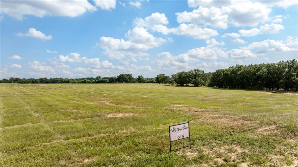 Lot #4 Trinity Ridge Drive Property Photo 3