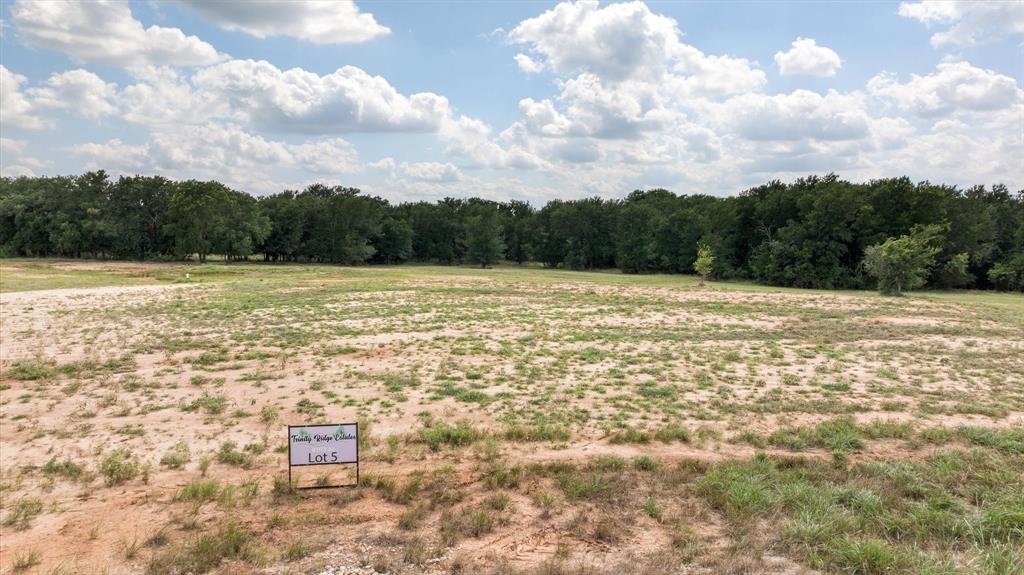 Lot #5 Trinity Ridge Drive Property Photo 3