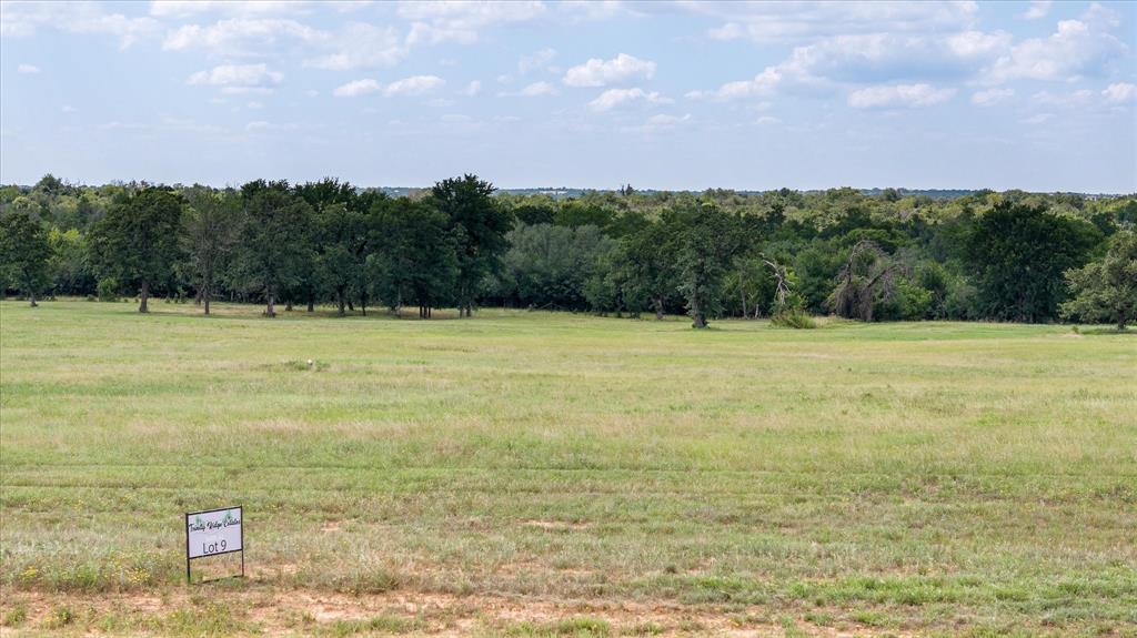 Lot #9 Trinity Ridge Drive Property Photo 3