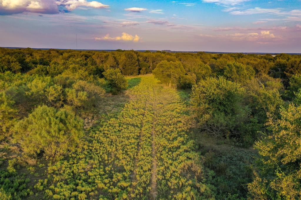 99.97 Acres S 281 Highway Property Photo 11