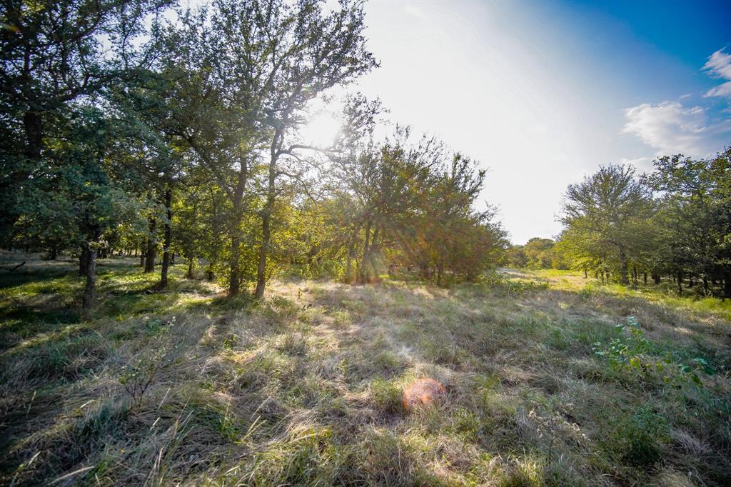 99.97 Acres S 281 Highway Property Photo 14