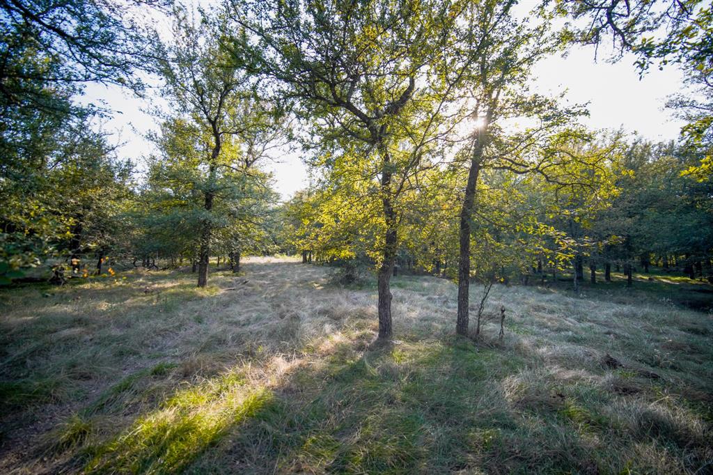 99.97 Acres S 281 Highway Property Photo 15