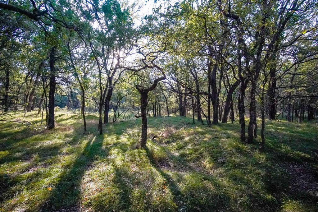 99.97 Acres S 281 Highway Property Photo 17