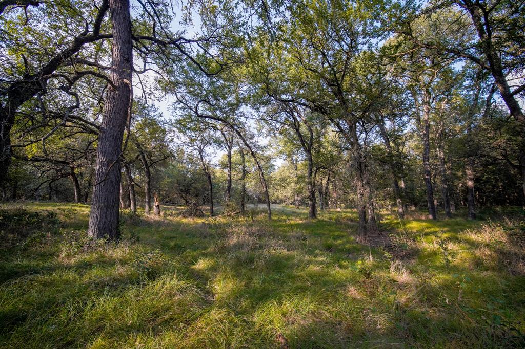 99.97 Acres S 281 Highway Property Photo 18