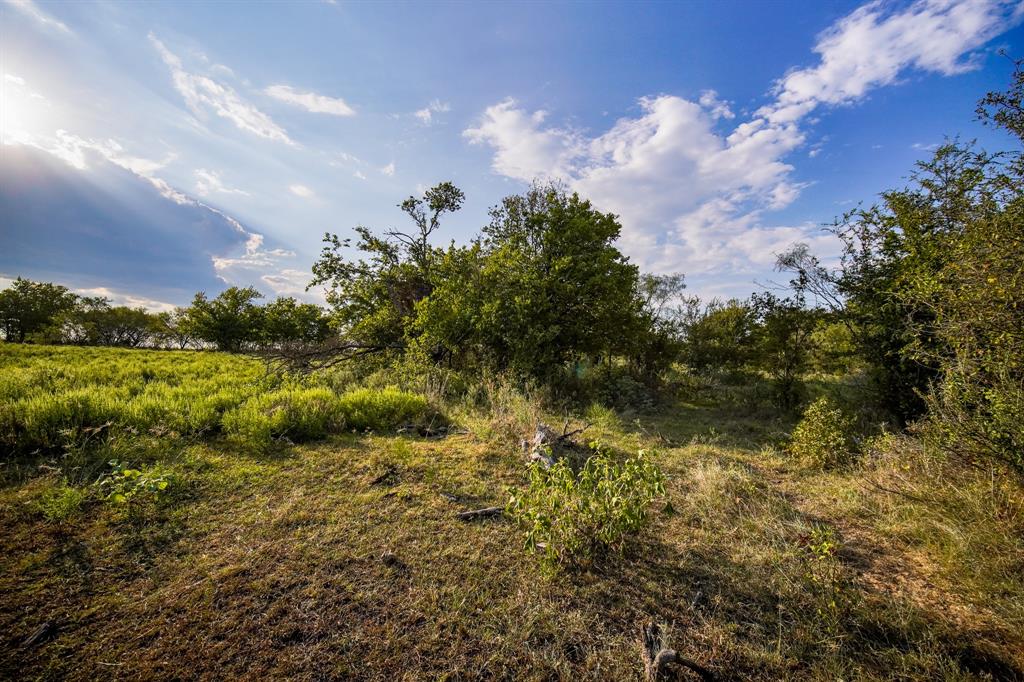 99.97 Acres S 281 Highway Property Photo 19