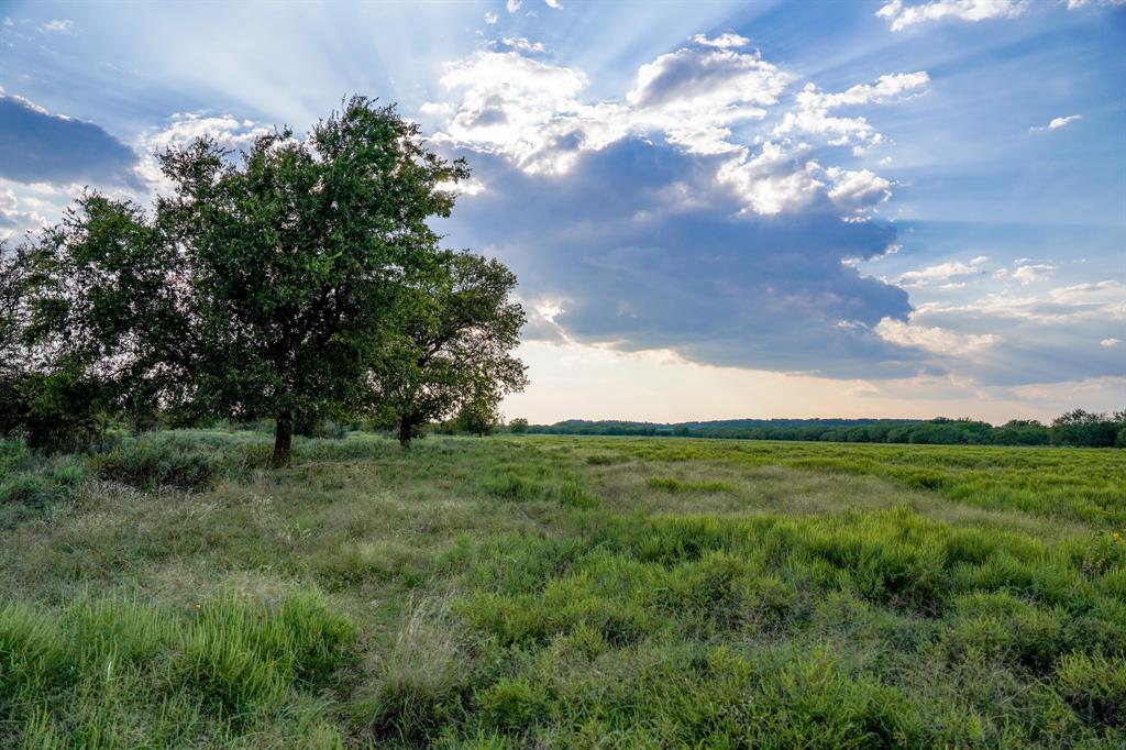 99.97 Acres S 281 Highway Property Photo 20