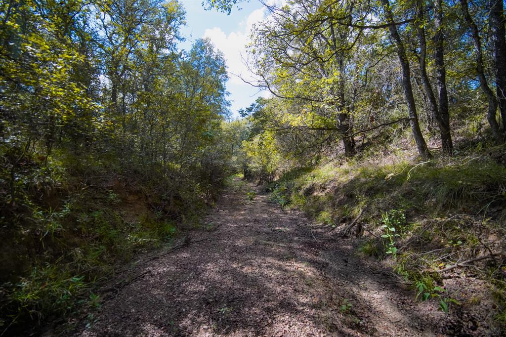 99.97 Acres S 281 Highway Property Photo 25