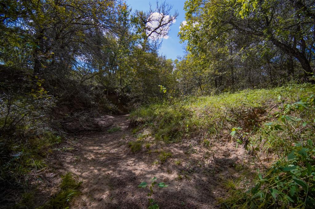 99.97 Acres S 281 Highway Property Photo 26