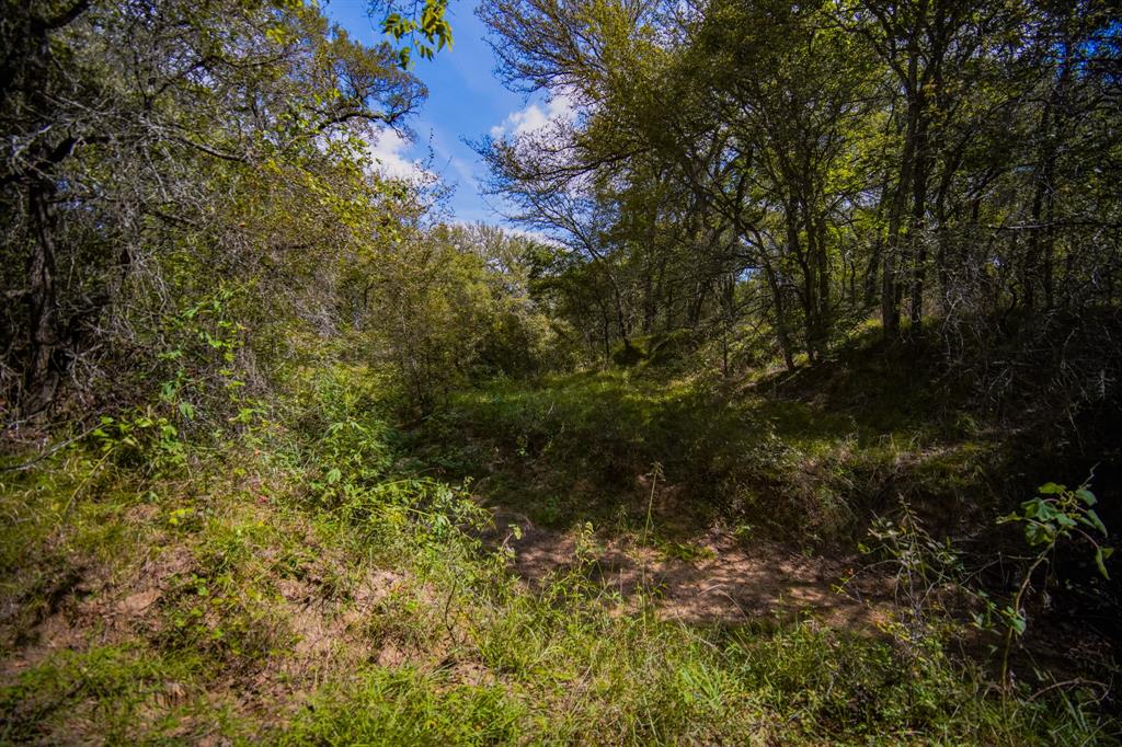 99.97 Acres S 281 Highway Property Photo 27