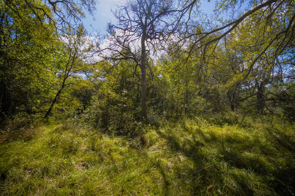 99.97 Acres S 281 Highway Property Photo 28