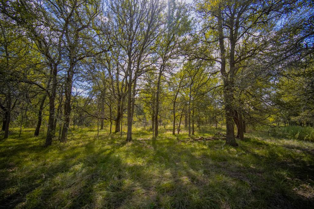 99.97 Acres S 281 Highway Property Photo 29