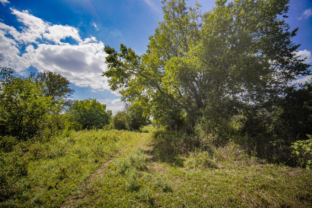 99.97 Acres S 281 Highway Property Photo 31