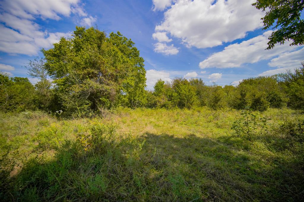 99.97 Acres S 281 Highway Property Photo 32