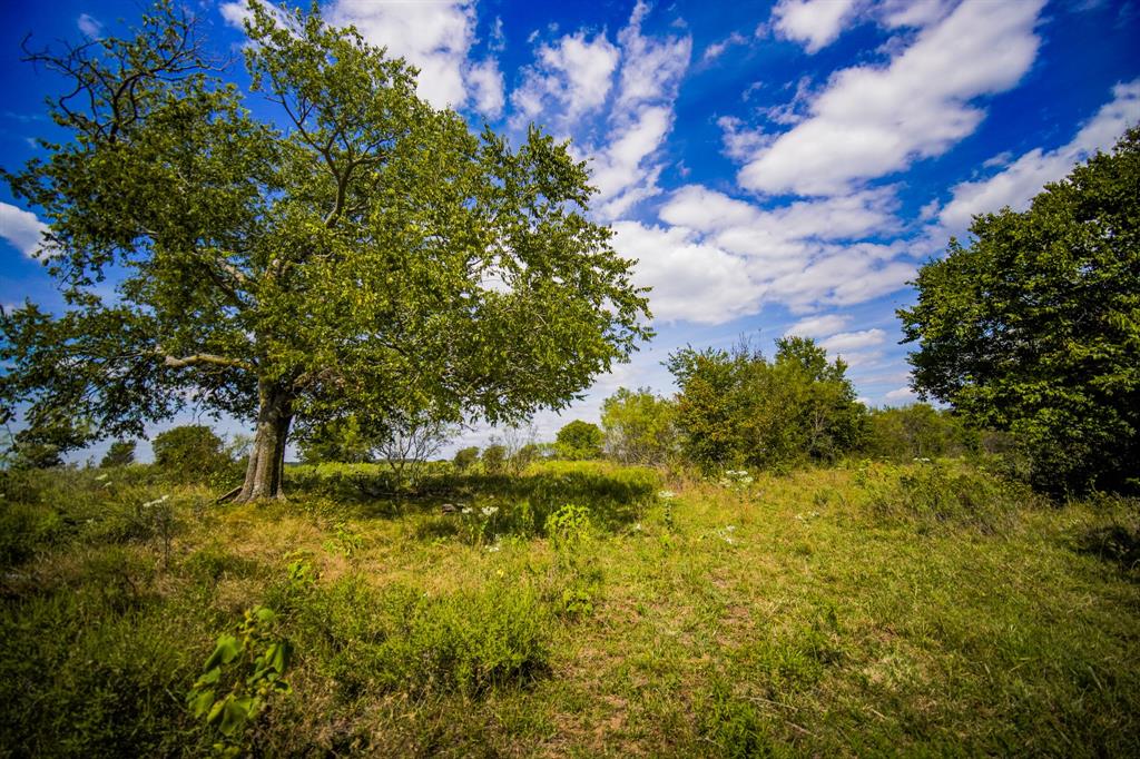 99.97 Acres S 281 Highway Property Photo 33