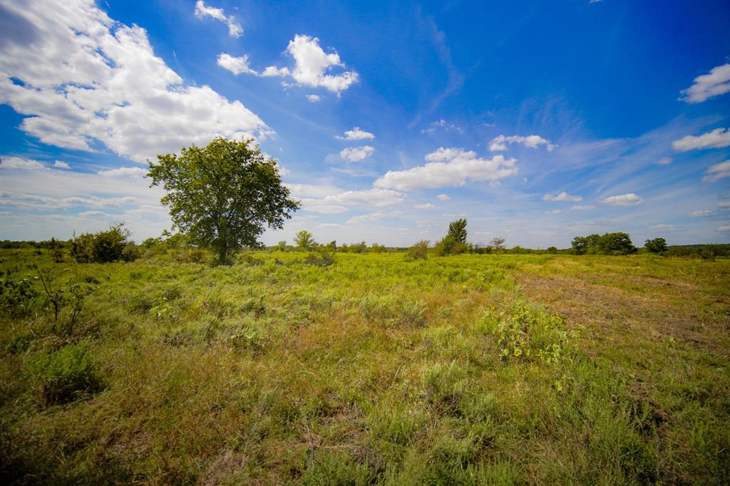 99.97 Acres S 281 Highway Property Photo 34
