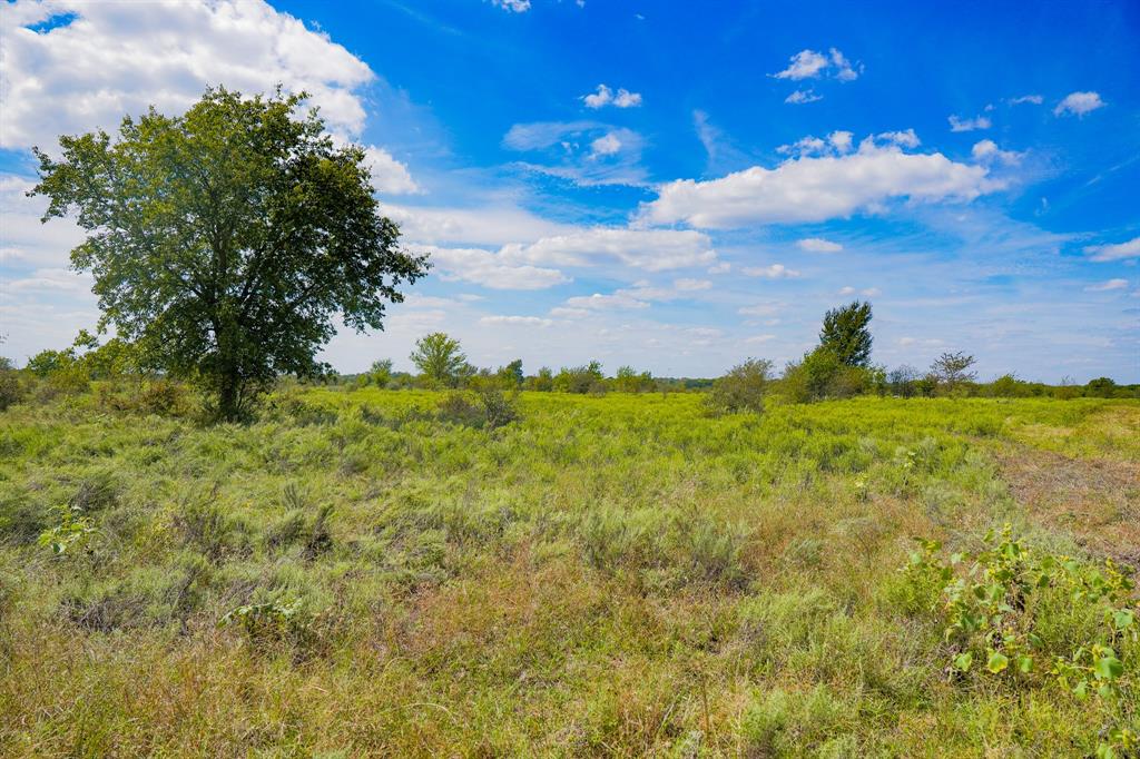 99.97 Acres S 281 Highway Property Photo 35