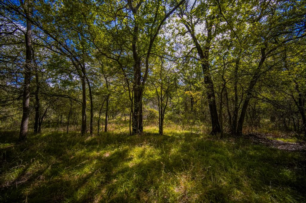 99.97 Acres S 281 Highway Property Photo 38