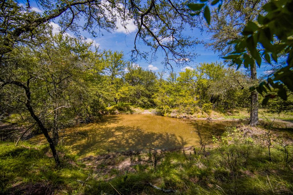 99.97 Acres S 281 Highway Property Photo 39