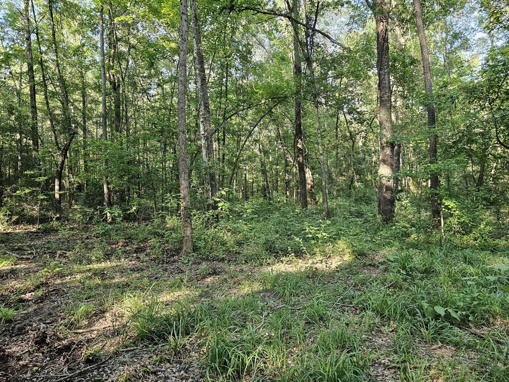 TBD Strickland Road