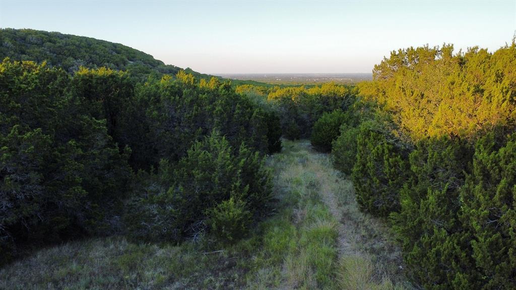 Tbd Old Coleman Property Photo 2