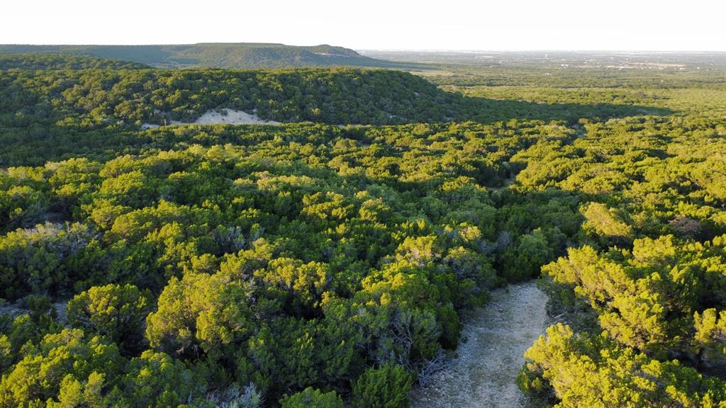 Tbd Old Coleman Property Photo 3