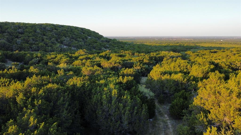 Tbd Old Coleman Property Photo 7