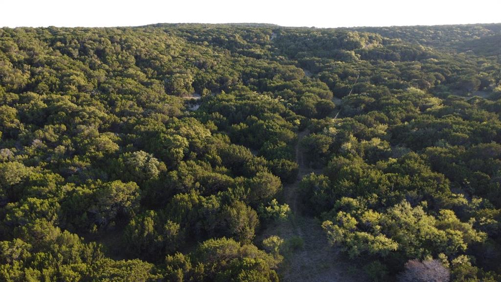 Tbd Old Coleman Property Photo 9