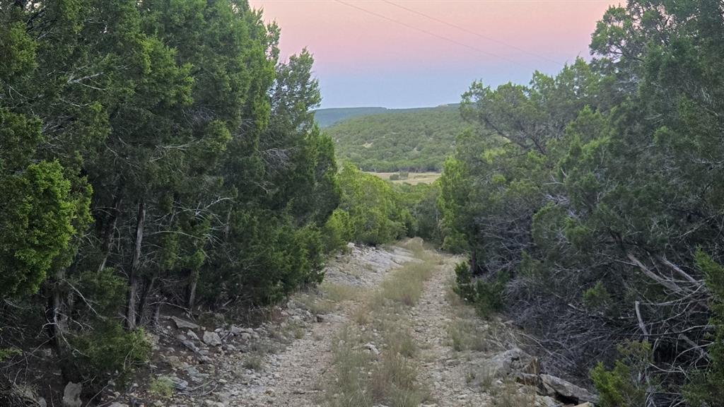 Tbd Old Coleman Property Photo 10