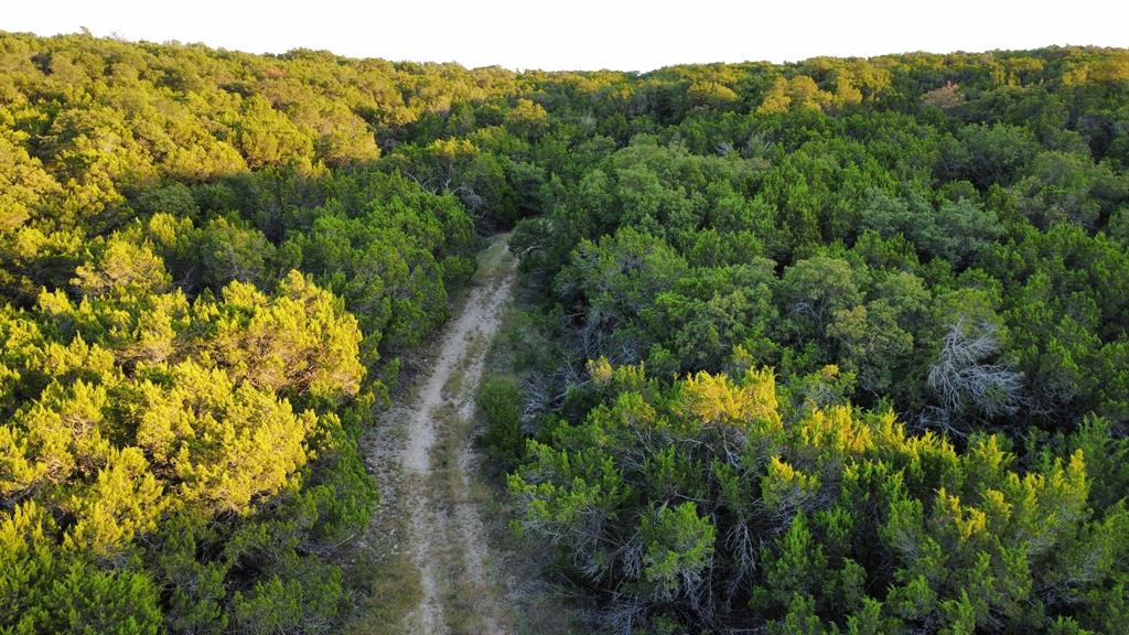 Tbd Old Coleman Property Photo 11