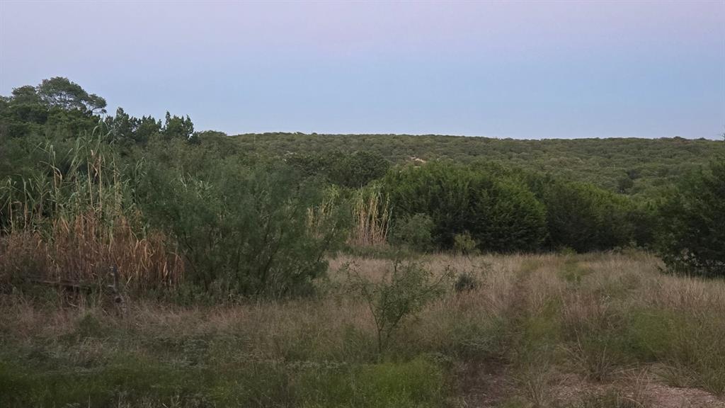 Tbd Old Coleman Property Photo 12