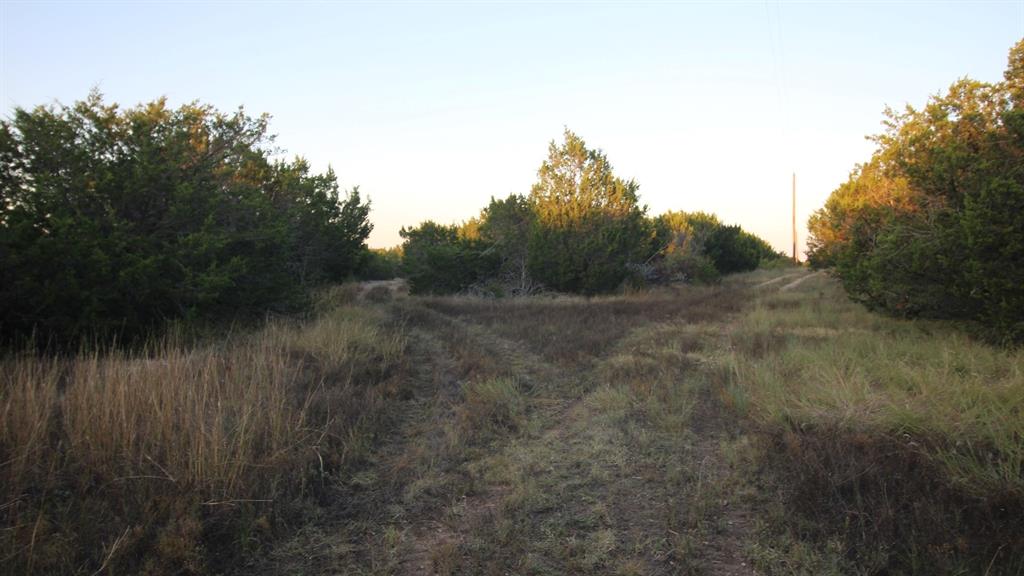 Tbd Old Coleman Property Photo 14