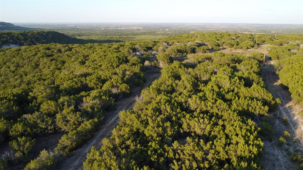 Tbd Old Coleman Property Photo 17