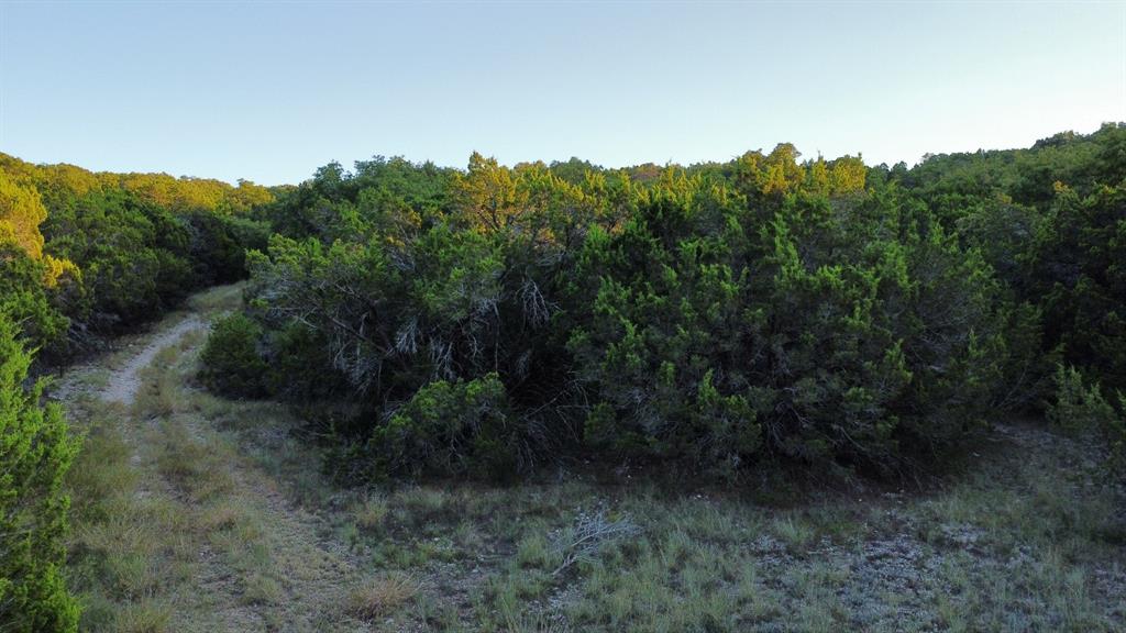 Tbd Old Coleman Property Photo 19