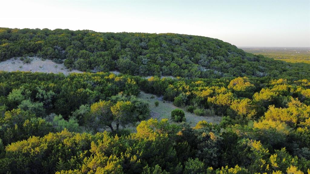 Tbd Old Coleman Property Photo 20