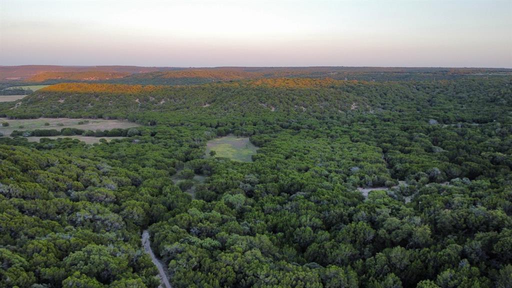Tbd Old Coleman Property Photo 22