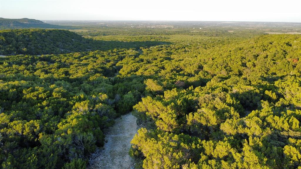 Tbd Old Coleman Property Photo 24