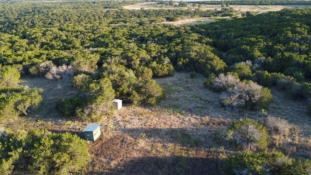 Tbd Old Coleman Property Photo 26