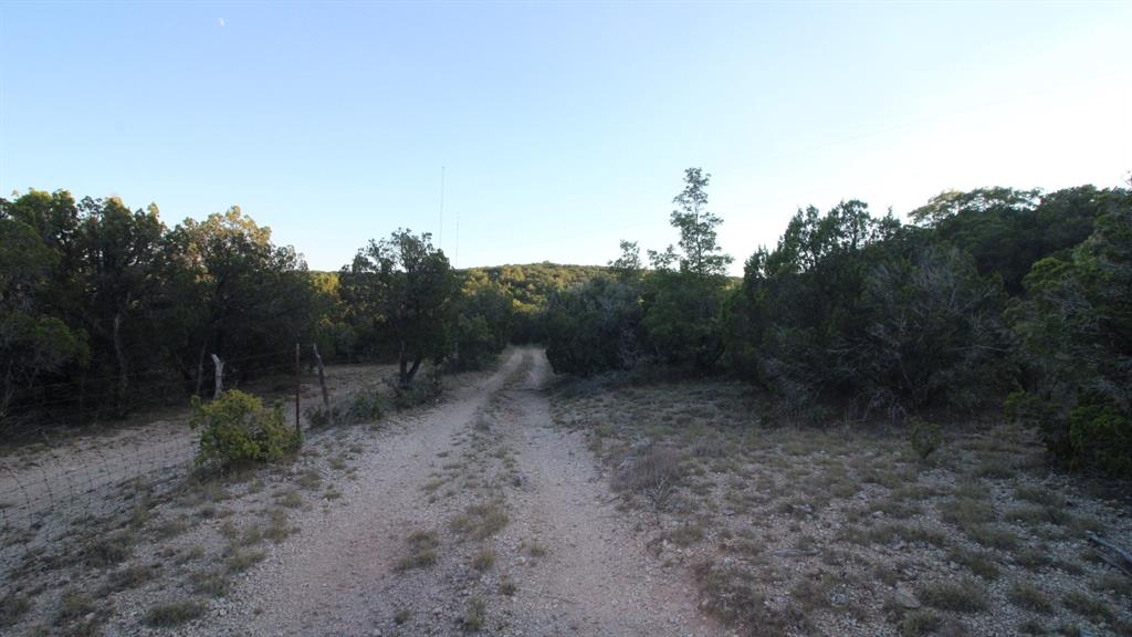 Tbd Old Coleman Property Photo 28