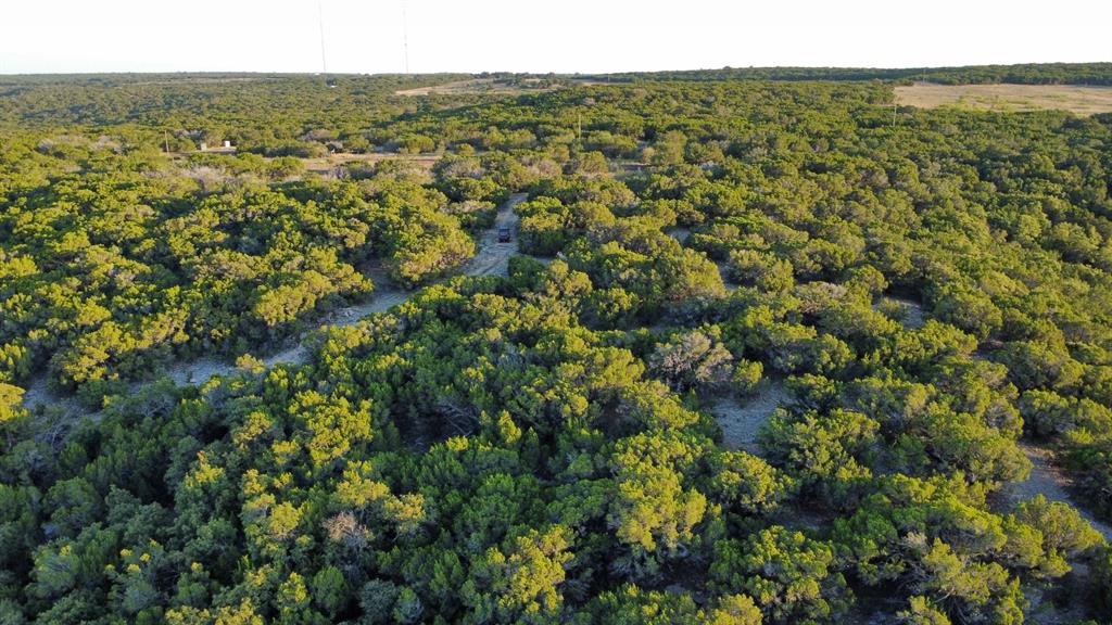 Tbd Old Coleman Property Photo 29