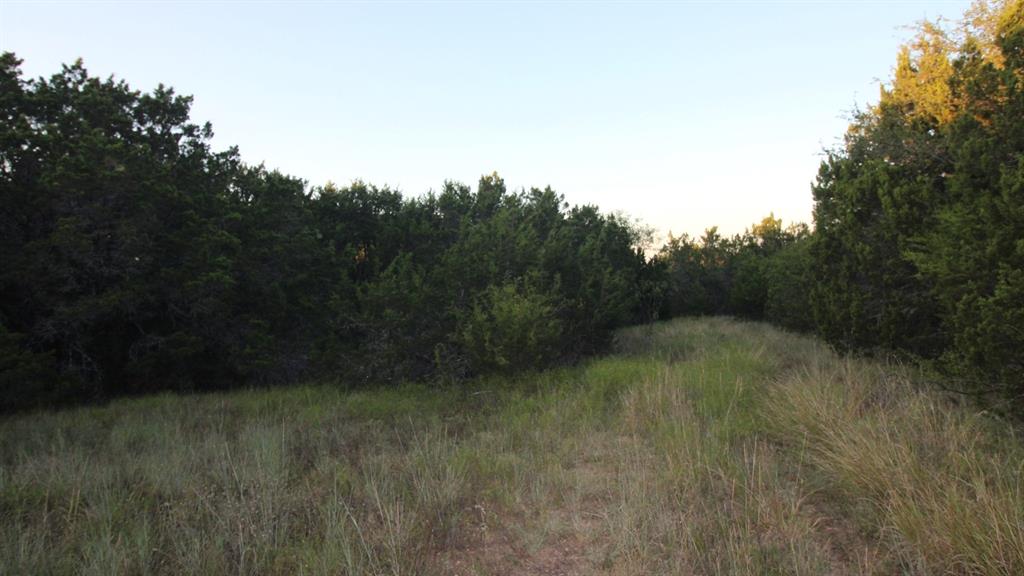 Tbd Old Coleman Property Photo 30