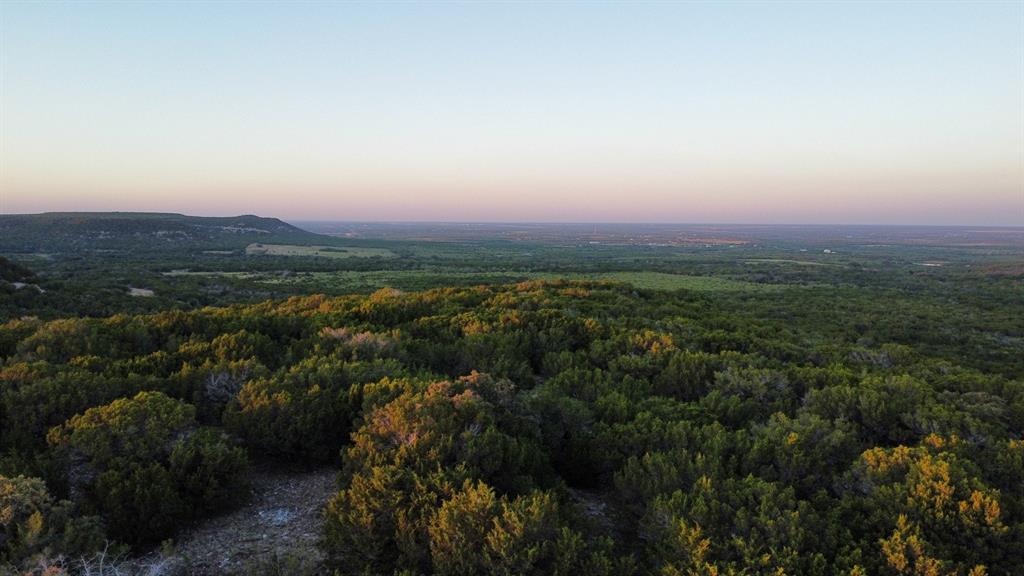 Tbd Old Coleman Property Photo 31