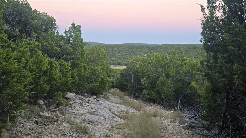 Tbd Old Coleman Property Photo 32