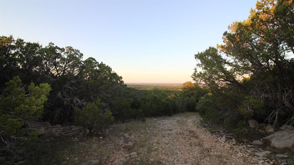 Tbd Old Coleman Property Photo 33
