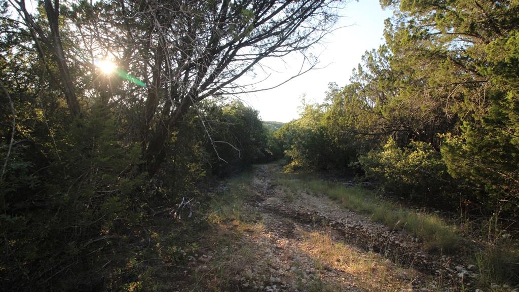 Tbd Old Coleman Property Photo 35