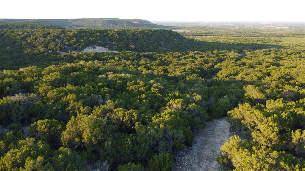 Tbd Old Coleman Property Photo 36